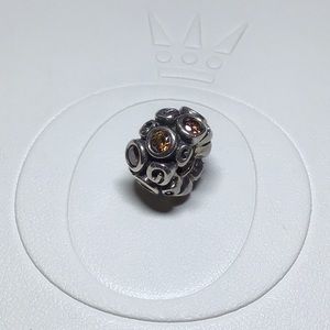 Pandora Primrose Path Brown Charm